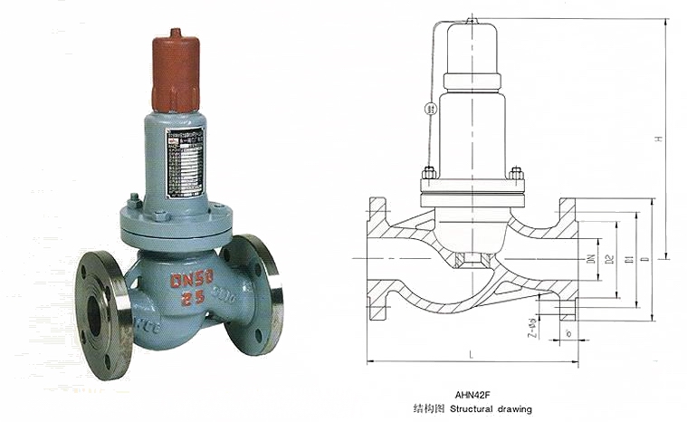 AHN42F安全回流閥(圖1)
