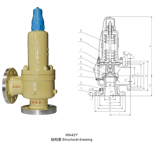 WA42Y波紋管安全閥(圖1)
