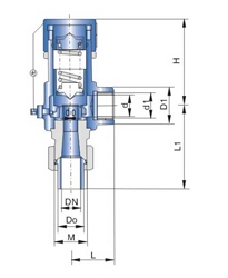 A21F,A21H,A21W,A21Y彈簧微啟式外螺紋安全閥(圖1)