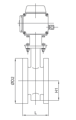 D941X電動(dòng)法蘭軟密封蝶閥(圖2)