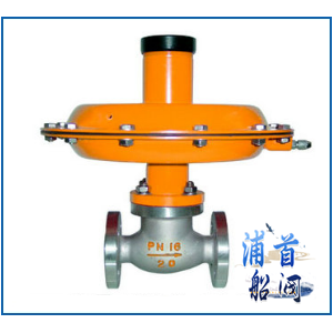 船用自力式差壓調(diào)節(jié)閥